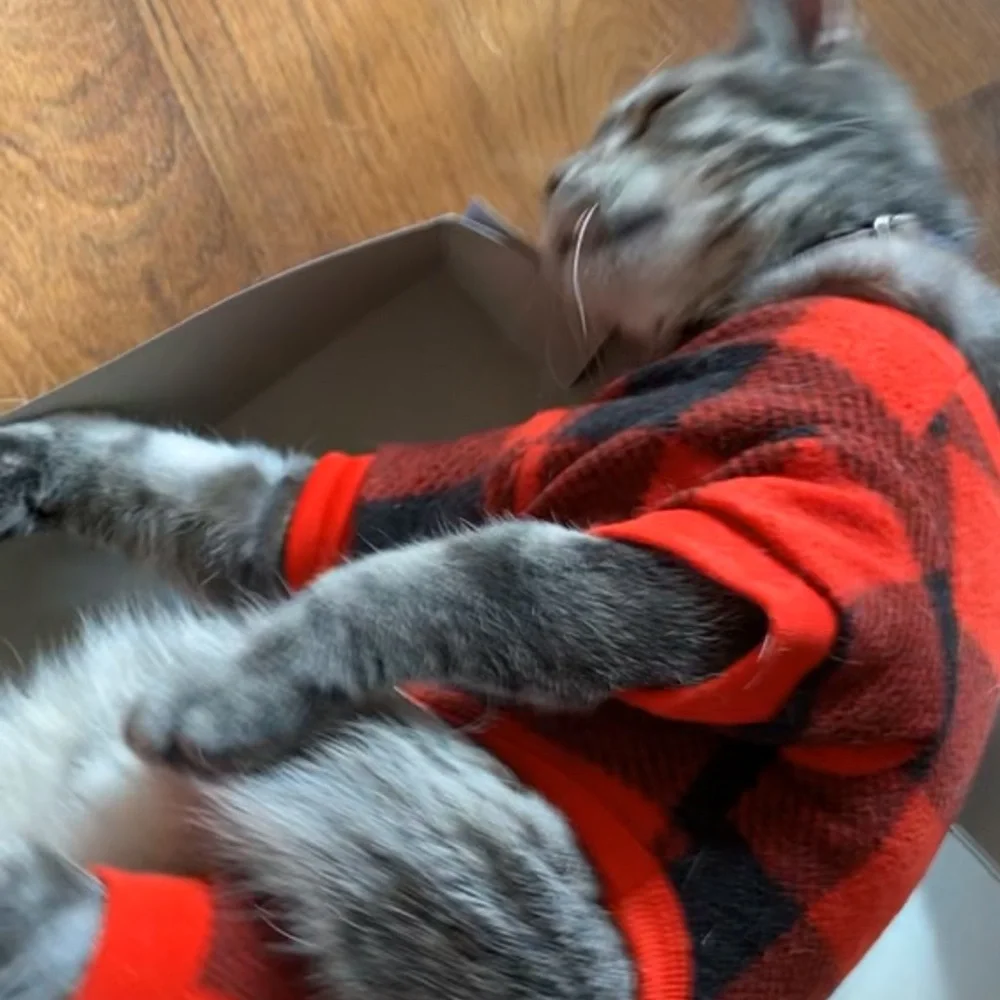 Red and Black Plaid Pet Onesie.